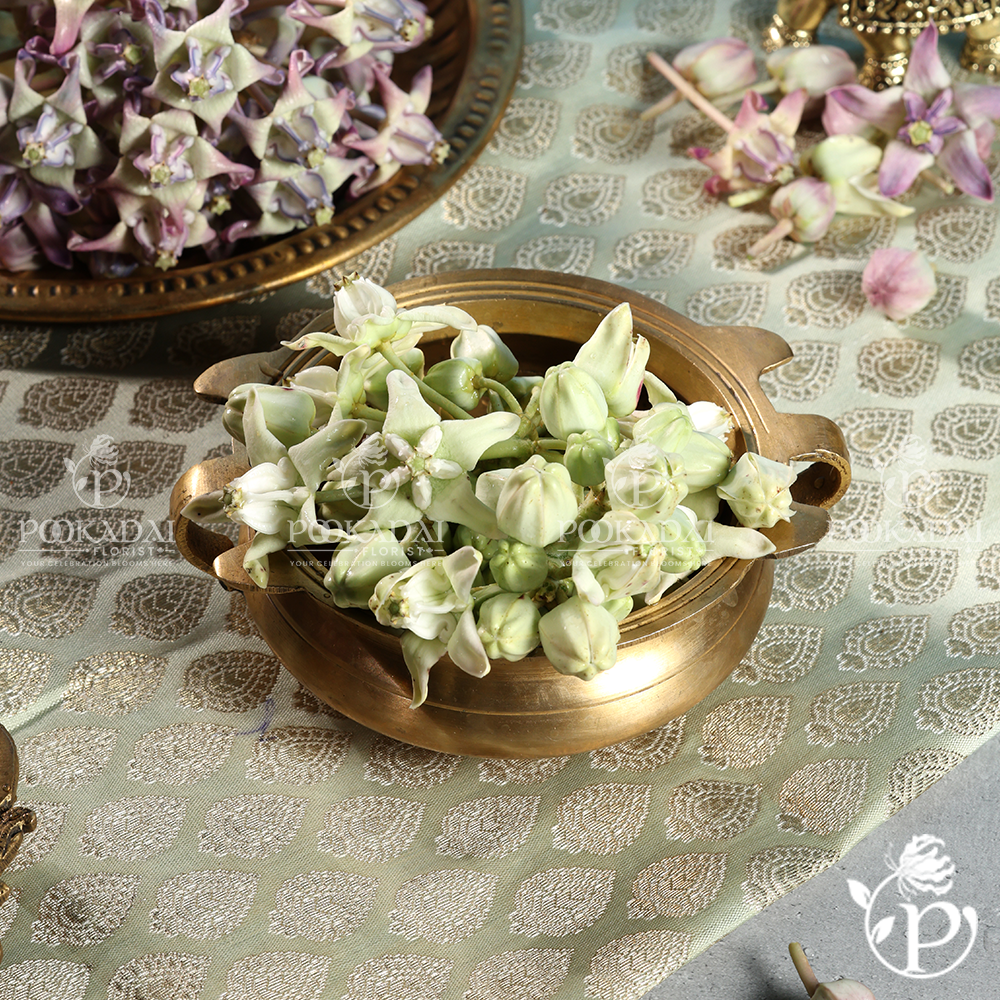Erukkam Pushpam | Madar Flower | Crown Flower