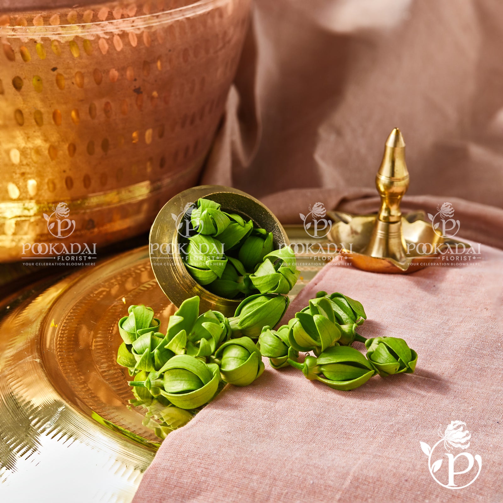 Manorangitham | Green Champak | Hara Champa