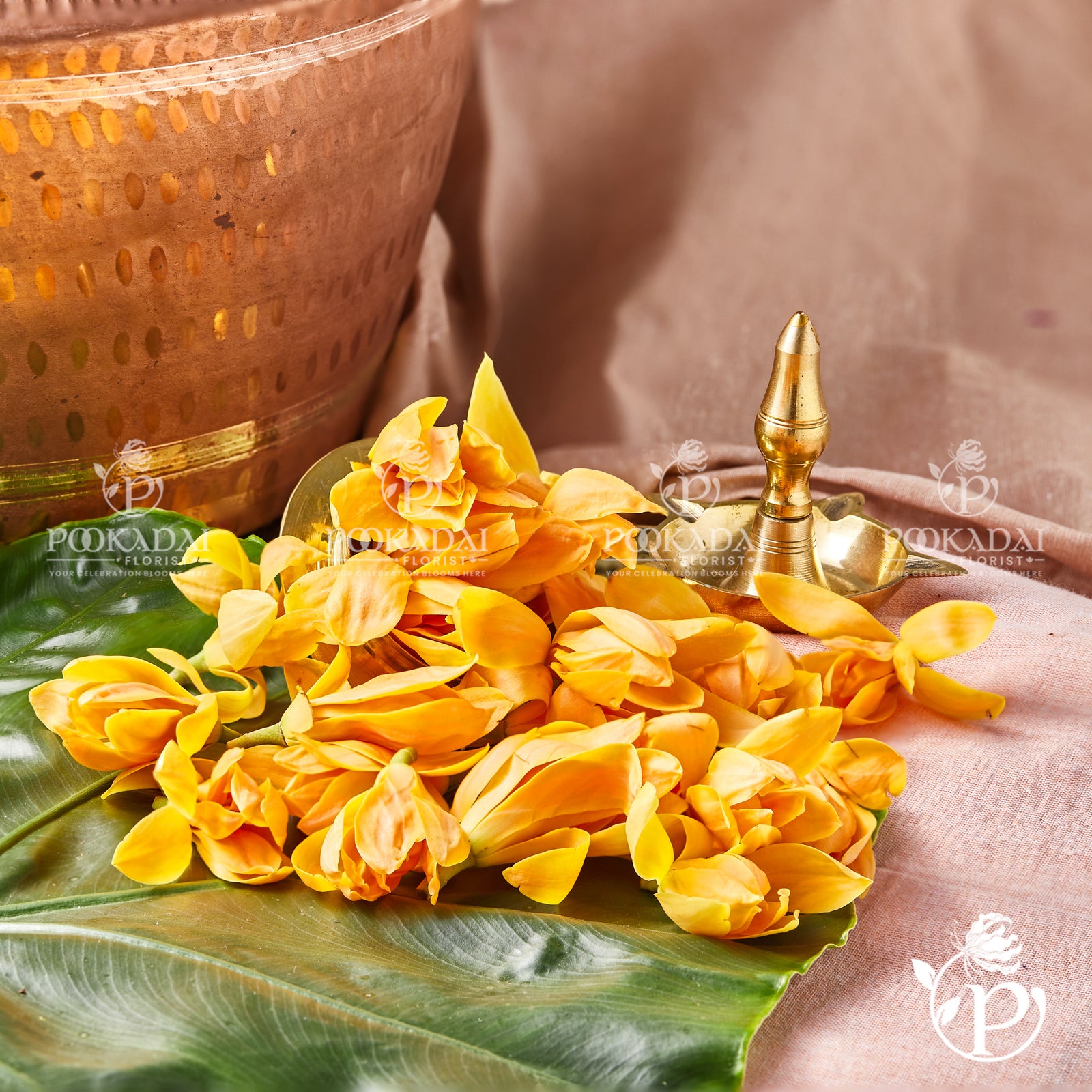 Shenbaga Poo | Golden Champak - Fragrant Yellow Temple Flowers