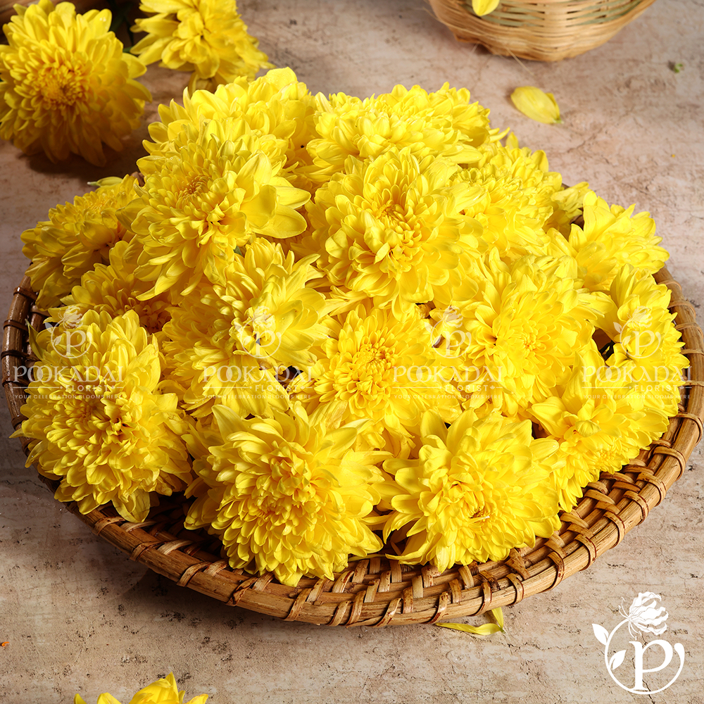 Samanthi | Chrysanthemum | Guldaud Loose Flowers